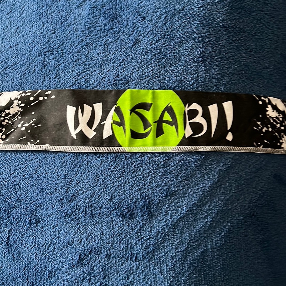 Disney’s: Kickin’ It “Wasabi” Karate Headbands